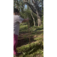 Review image 2